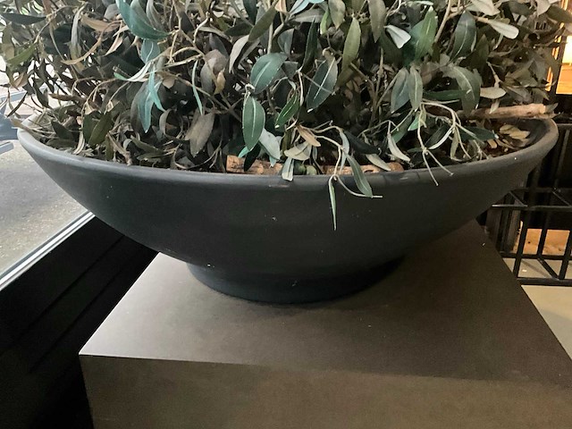 Kunst plant olijf met pot op presentatie kubus - afbeelding 4 van  5