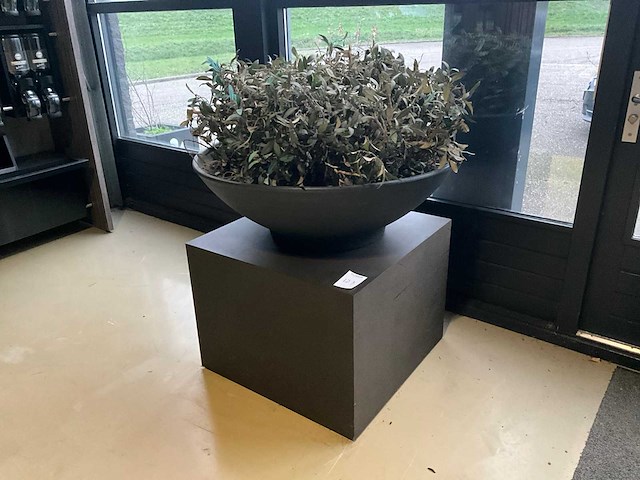 Kunst plant olijf met pot op presentatie kubus - afbeelding 1 van  5