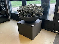 Kunst plant olijf met pot op presentatie kubus - afbeelding 1 van  5