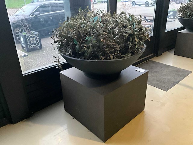 Kunst plant olijf met pot op presentatie kubus - afbeelding 2 van  5