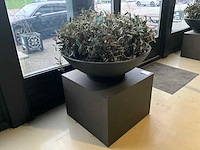 Kunst plant olijf met pot op presentatie kubus - afbeelding 2 van  5