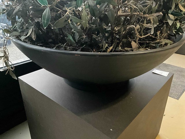 Kunst plant olijf met pot op presentatie kubus - afbeelding 4 van  5
