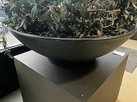 Kunst plant olijf met pot op presentatie kubus - afbeelding 4 van  5