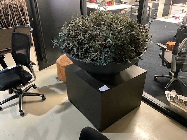 Kunst plant olijf met pot op presentatie kubus - afbeelding 1 van  5