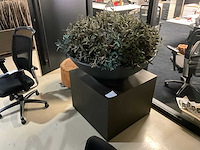 Kunst plant olijf met pot op presentatie kubus - afbeelding 1 van  5