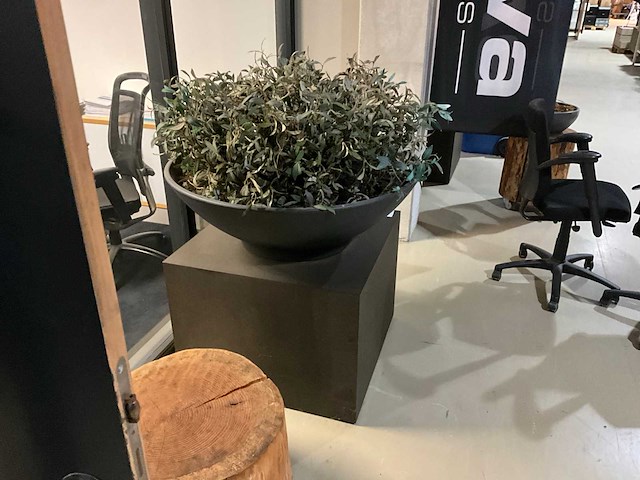 Kunst plant olijf met pot op presentatie kubus - afbeelding 2 van  5