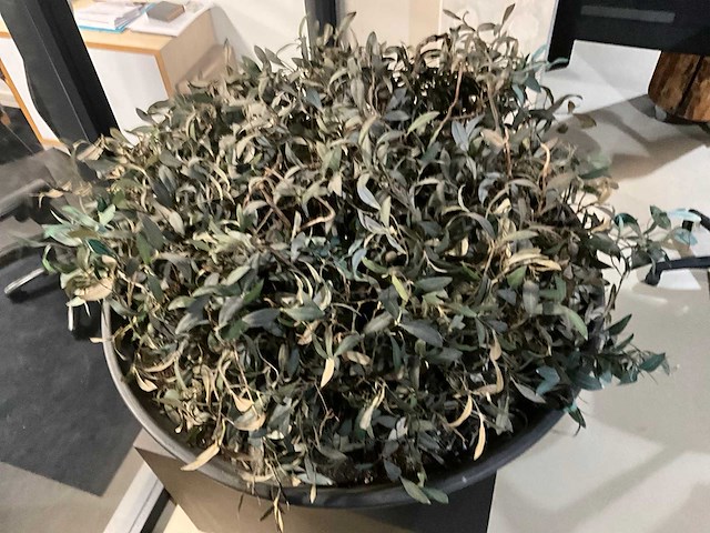 Kunst plant olijf met pot op presentatie kubus - afbeelding 3 van  5