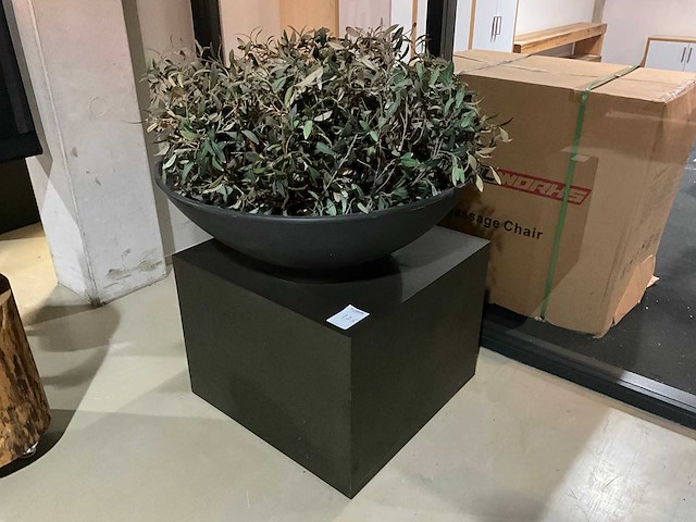 Kunst plant olijf met pot op presentatie kubus - afbeelding 1 van  5