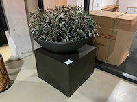 Kunst plant olijf met pot op presentatie kubus - afbeelding 1 van  5