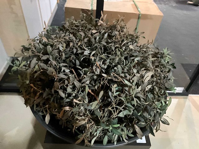 Kunst plant olijf met pot op presentatie kubus - afbeelding 3 van  5