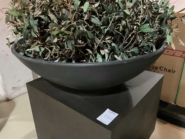 Kunst plant olijf met pot op presentatie kubus - afbeelding 4 van  5