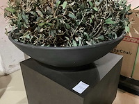 Kunst plant olijf met pot op presentatie kubus - afbeelding 4 van  5