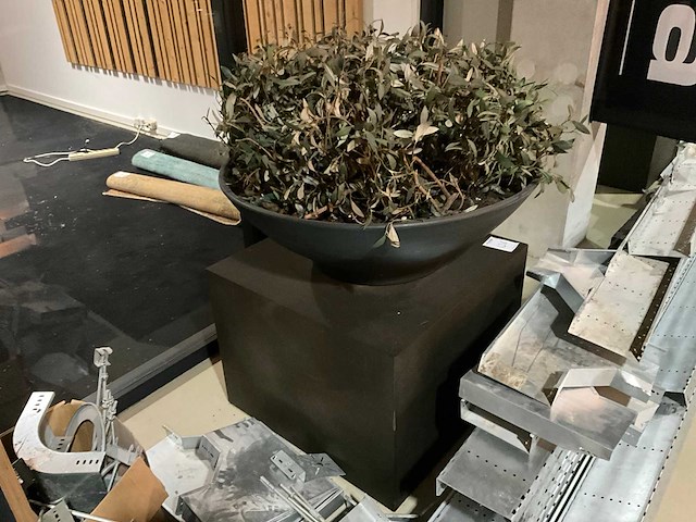 Kunst plant olijf met pot op presentatie kubus - afbeelding 1 van  5