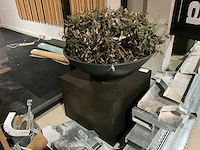 Kunst plant olijf met pot op presentatie kubus - afbeelding 1 van  5