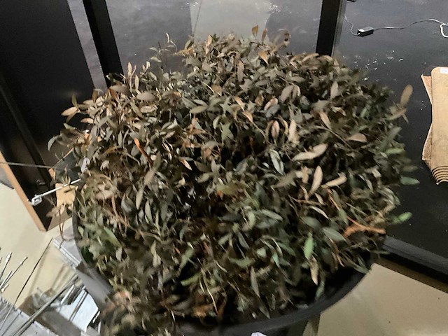 Kunst plant olijf met pot op presentatie kubus - afbeelding 3 van  5