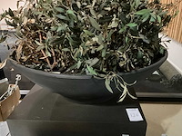 Kunst plant olijf met pot op presentatie kubus - afbeelding 4 van  5