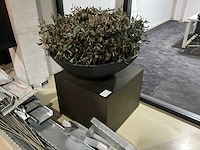 Kunst plant olijf met pot op presentatie kubus - afbeelding 1 van  5