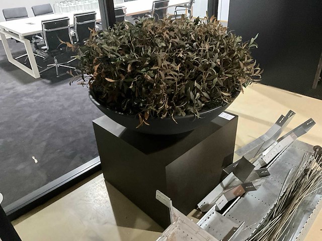 Kunst plant olijf met pot op presentatie kubus - afbeelding 2 van  5