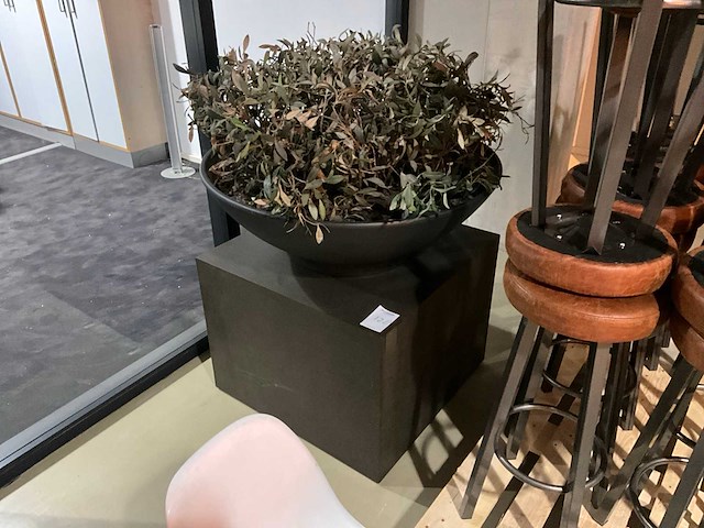 Kunst plant olijf met pot op presentatie kubus - afbeelding 1 van  5