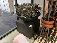 Kunst plant olijf met pot op presentatie kubus - afbeelding 1 van  5