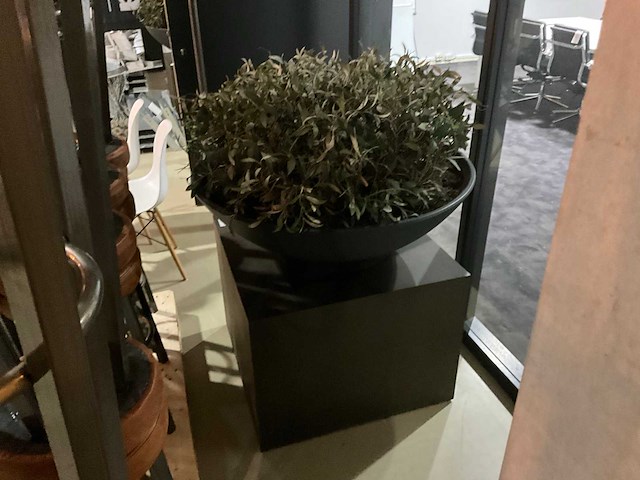 Kunst plant olijf met pot op presentatie kubus - afbeelding 2 van  5