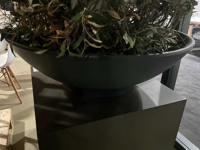 Kunst plant olijf met pot op presentatie kubus - afbeelding 4 van  5