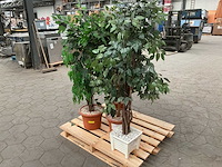 Kunst planten in pot (4x) - afbeelding 2 van  4