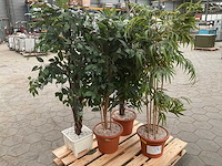 Kunst planten in pot (4x) - afbeelding 3 van  4