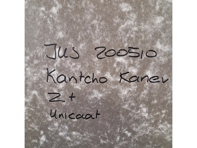 Kunst schilderijen beelden, kantcho kanev, 2004 - afbeelding 7 van  8