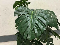 Kunst vingerplant met pot - afbeelding 3 van  3