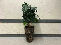 Kunst vingerplant met pot
