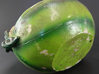 Kunst watermeloen - afbeelding 5 van  5