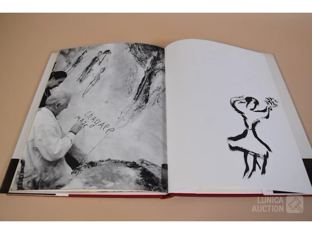 Kunstboek - afbeelding 11 van  11