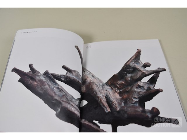 Kunstboeken - afbeelding 15 van  24