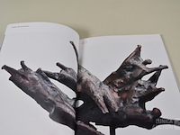 Kunstboeken - afbeelding 15 van  24