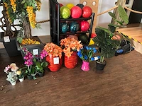 Kunstbomen en kunstplanten - afbeelding 4 van  10