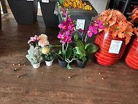 Kunstbomen en kunstplanten - afbeelding 5 van  10