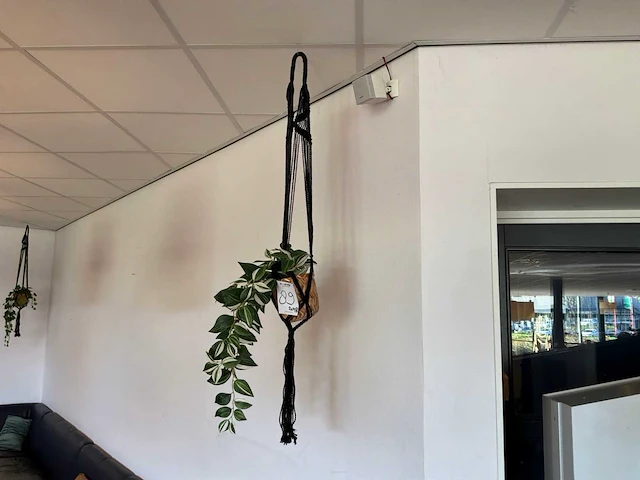 Kunstbomen en kunstplanten - afbeelding 7 van  10
