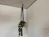 Kunstbomen en kunstplanten - afbeelding 8 van  10