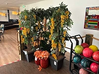 Kunstbomen en kunstplanten