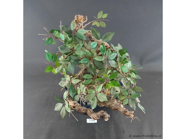Kunstbonsai in geglazuurde keramische pot - afbeelding 2 van  5