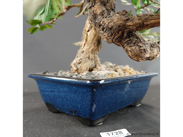 Kunstbonsai in geglazuurde keramische pot - afbeelding 4 van  5