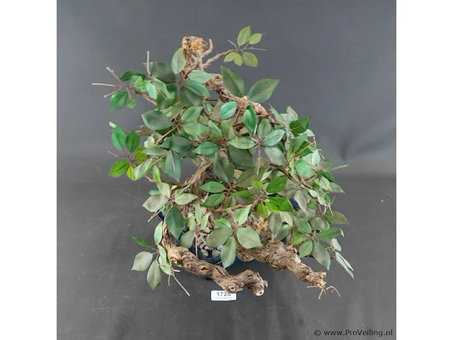 Kunstbonsai in geglazuurde keramische pot - afbeelding 2 van  5