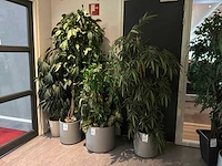 Kunstboom (4x)