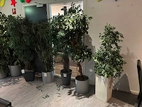 Kunstboom (5x) - afbeelding 1 van  5
