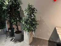 Kunstboom (5x) - afbeelding 2 van  5