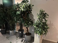 Kunstboom (5x) - afbeelding 3 van  5