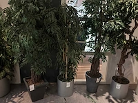 Kunstboom (5x) - afbeelding 5 van  5