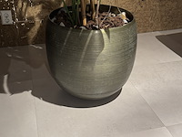 Kunstboom in pot colours&green, split philo - afbeelding 4 van  5