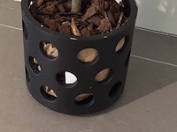 Kunstboom in pot, geel/groen - afbeelding 4 van  5